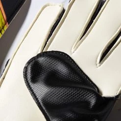 Adidas Predator Training Soccer Goal Keeper Gloves Misc Balls