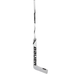 Bauer S20 Gsx Intermediate Hockey Goalie Stick (P31)