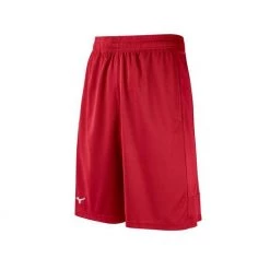 Sports Replay - Sports Excellence Mizuno Youth Foray Training Shorts