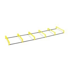 Sklz Elevation Ladder