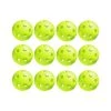 TOP SPIN PICKLE BALL 12 PACK INDOOR BALLS