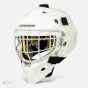 Warrior Ritual F1 Youth Goalie Mask